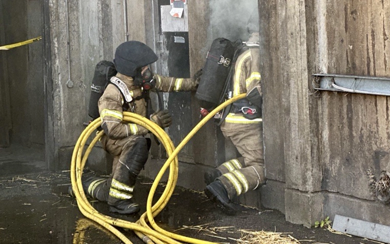 Two firefighters in full gear with hoses entering a smoke-filled building during fire response.