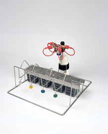Breathing Valves Holder – DWProS