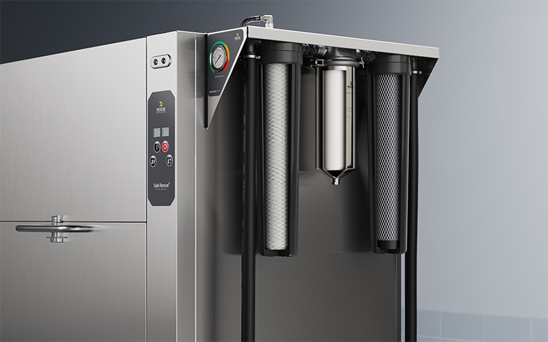 Solo Closeup 800X500px